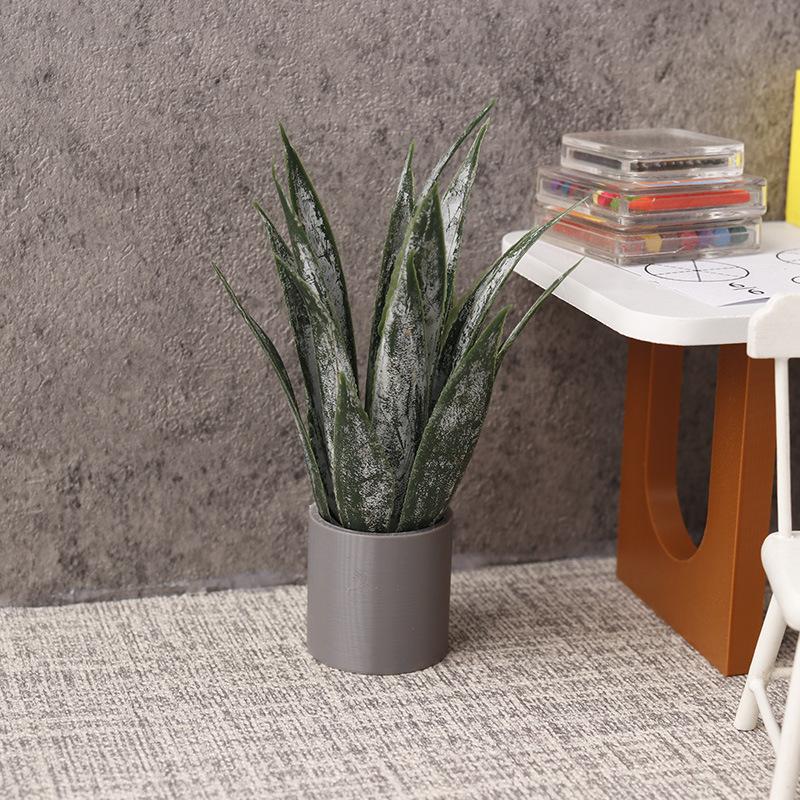Miniature Aloe Vera Potted Pla - огляд і ціна Aloe Vera Pot