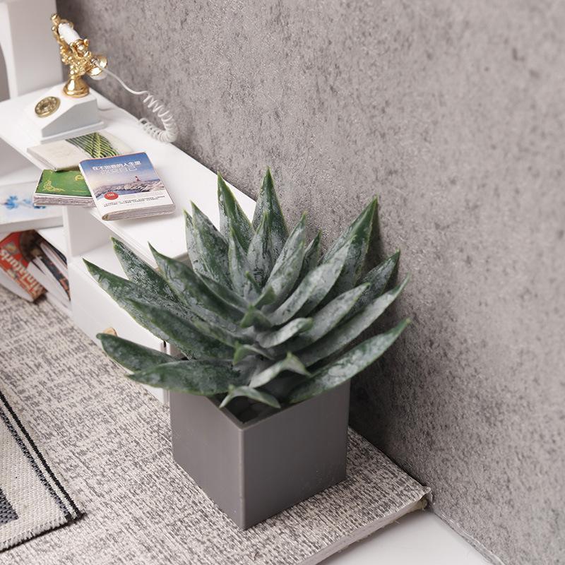 Miniature Aloe Vera Potted Pla - огляд і ціна Aloe Vera Pot