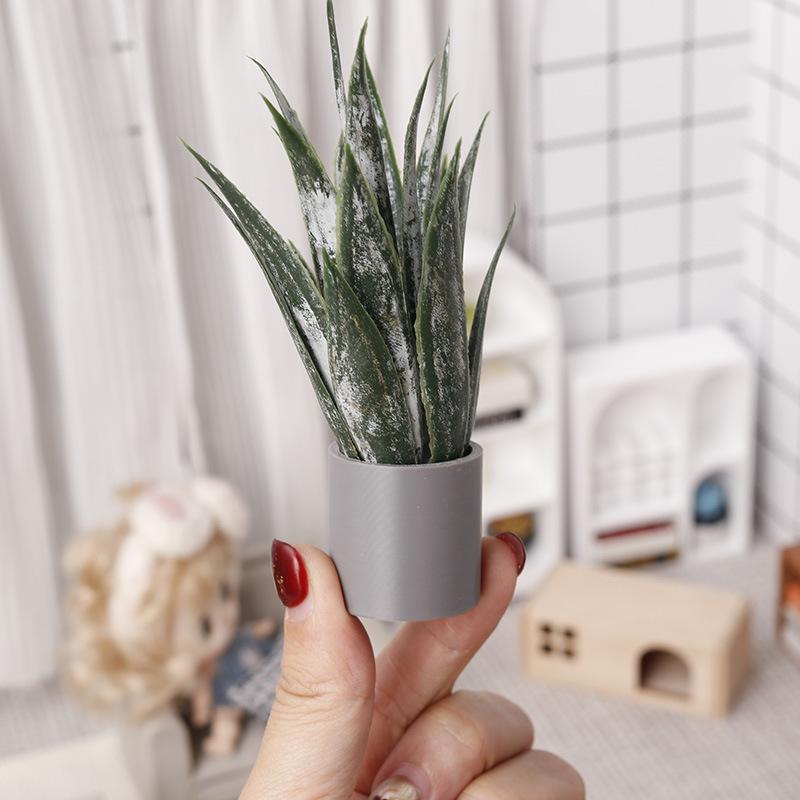 Miniature Aloe Vera Potted Pla - огляд і ціна Aloe Vera Pot