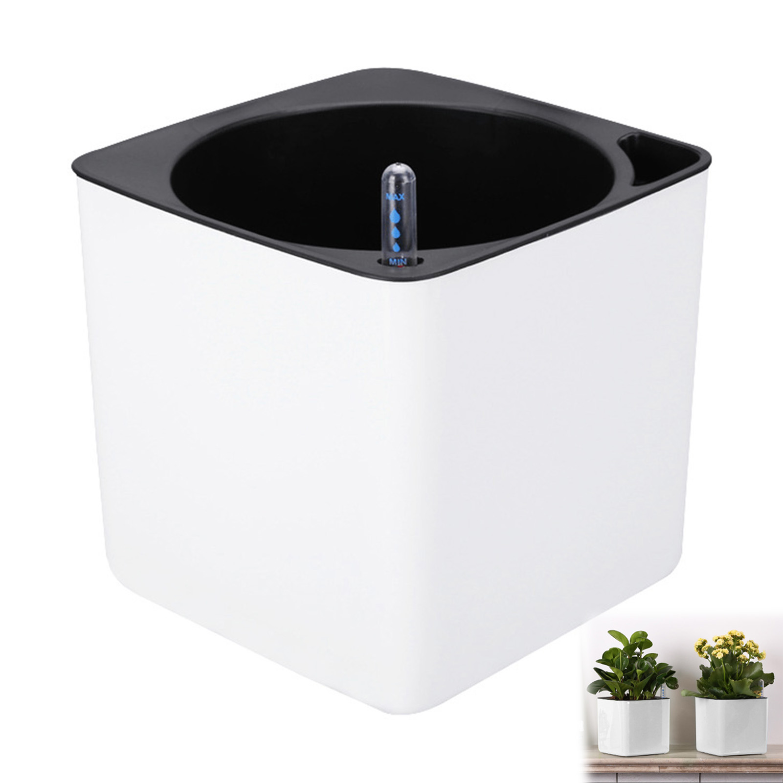 Automatic Self Watering Flower - огляд і ціна Aloe Vera Pot