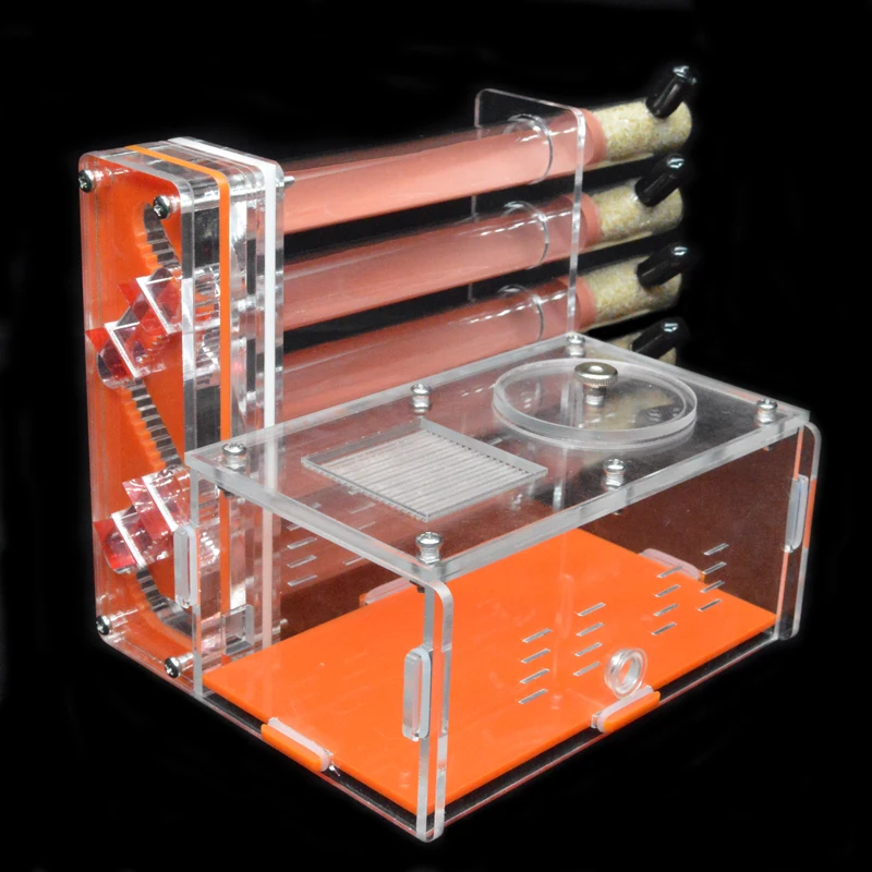 DIY Acrylic Ant Farm 5 pcs 18- - огляд і ціна Begonia Rex