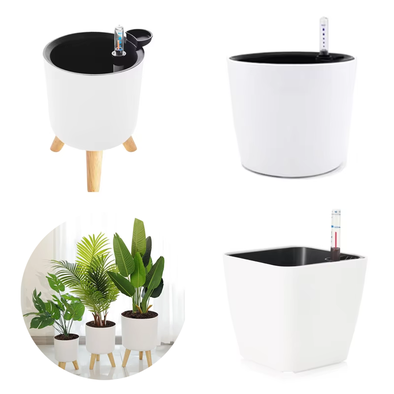 1PC Indoor Plastic Flowerpot S - огляд і ціна Aloe Vera Pot