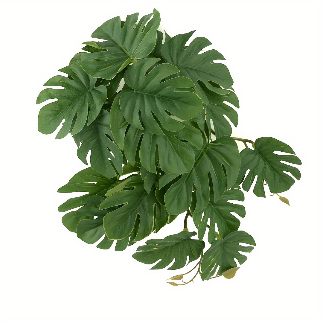 Reptile Plants for Terrarium A - огляд і ціна Monstera Adansonii