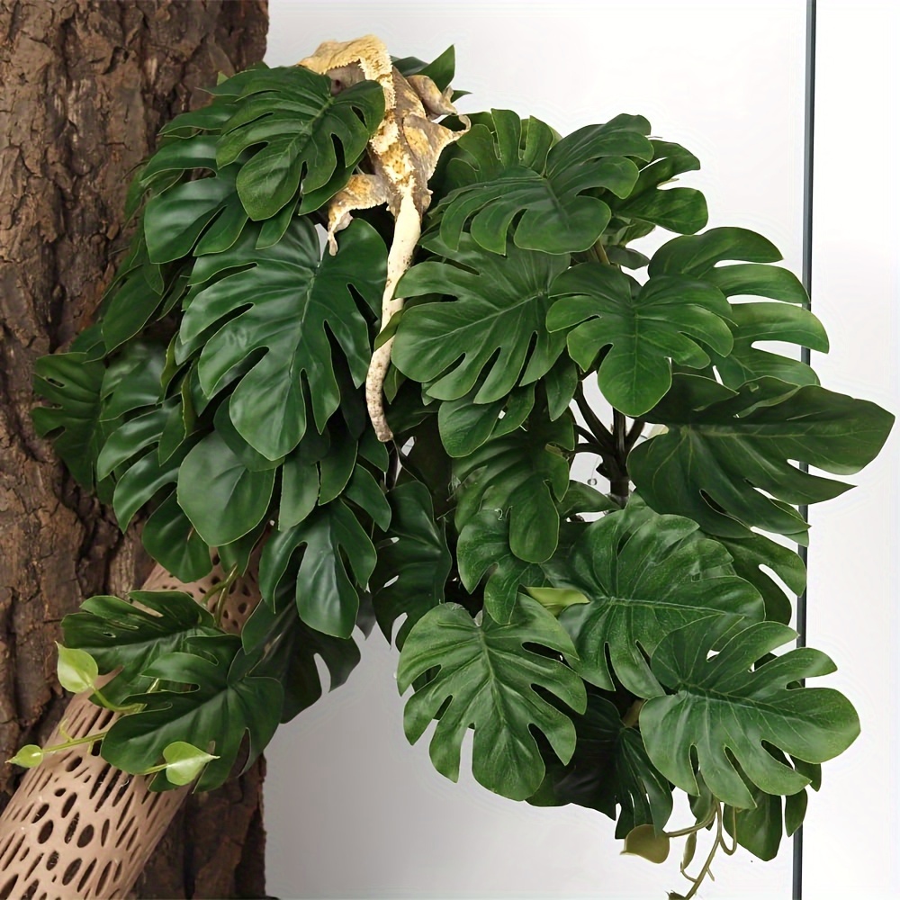 Reptile Plants for Terrarium A - огляд і ціна Monstera Adansonii