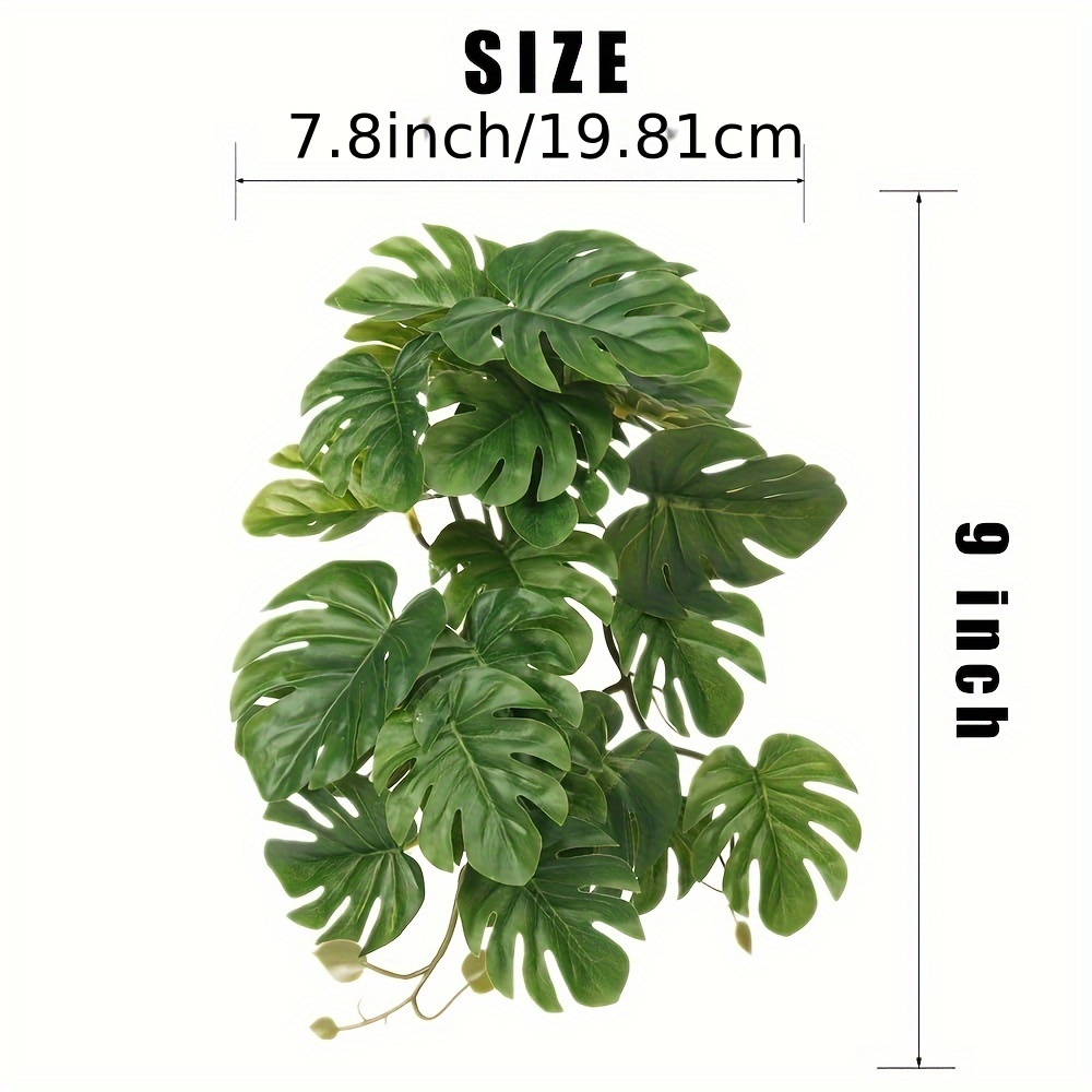 Reptile Plants for Terrarium A - огляд і ціна Monstera Adansonii
