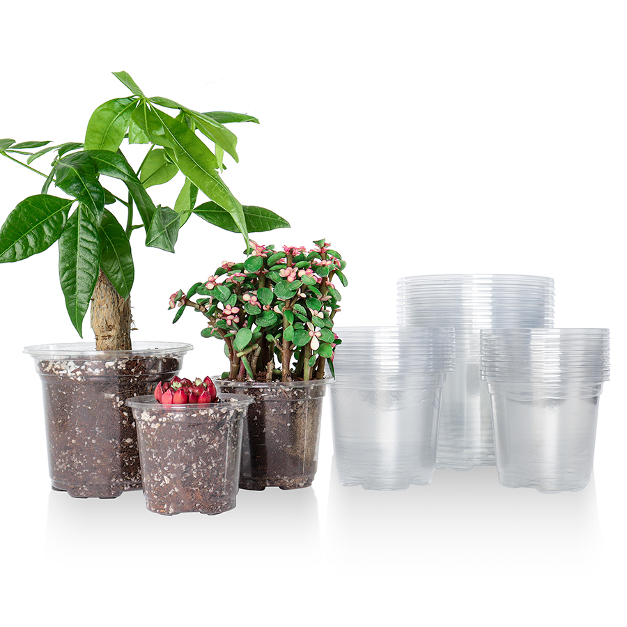 30 Packs 3.5/4/5 Inch Clear Nu - огляд і ціна Aloe Vera Pot