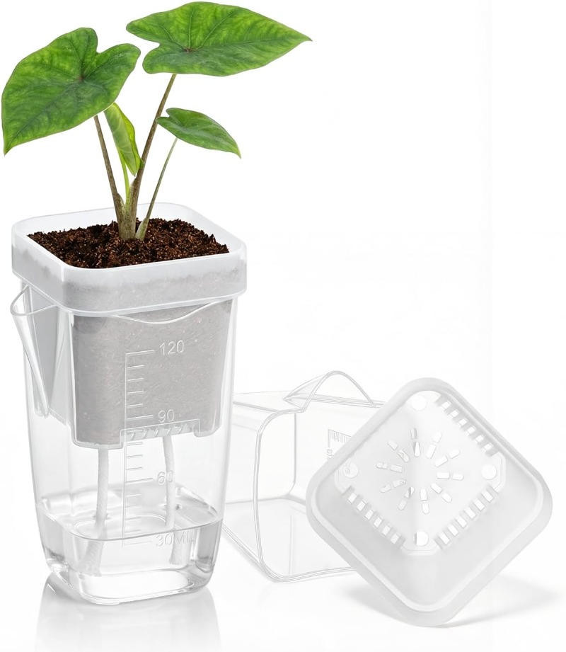 5/1PCS Transparent Self Wateri - огляд і ціна Aloe Vera Pot