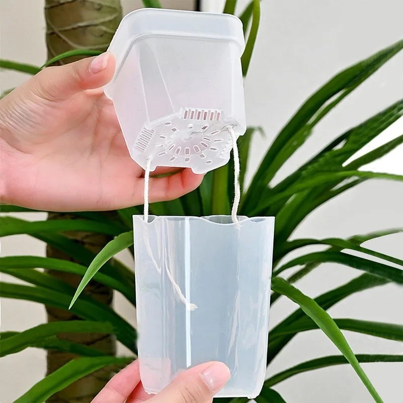 5/1PCS Transparent Self Wateri - огляд і ціна Aloe Vera Pot