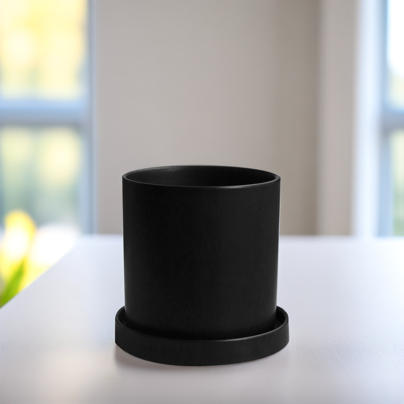1Set Stylish Ceramic Pots with - огляд і ціна Aloe Vera Pot