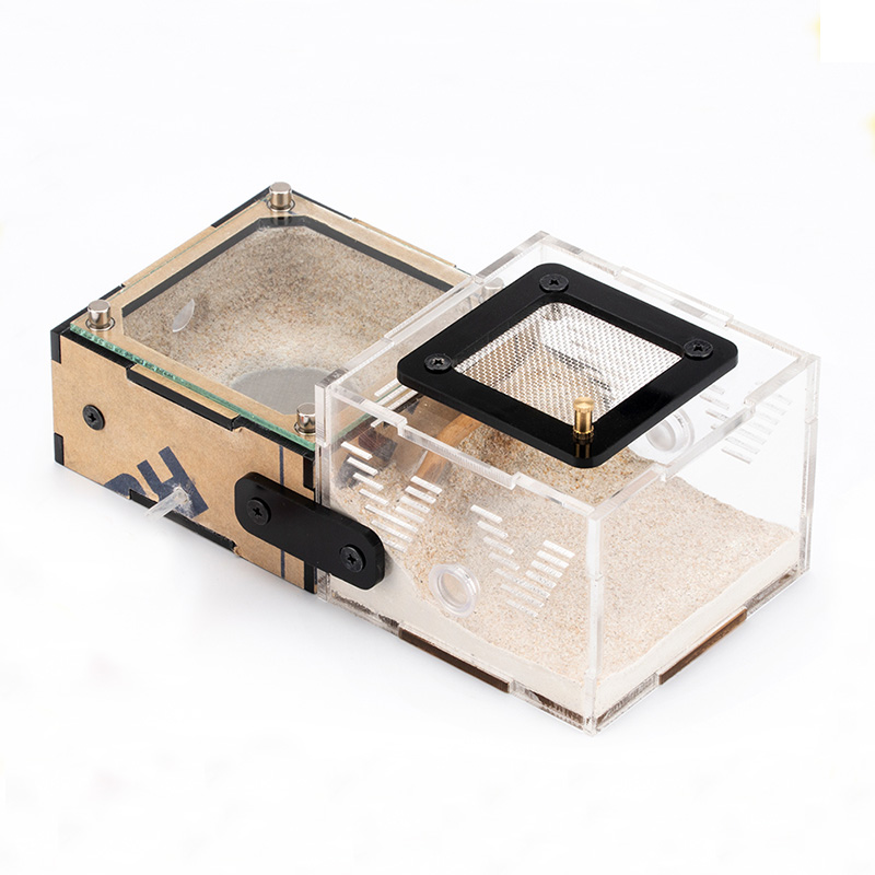 Unlimited Expansion Ant Farm H - огляд і ціна Begonia Rex